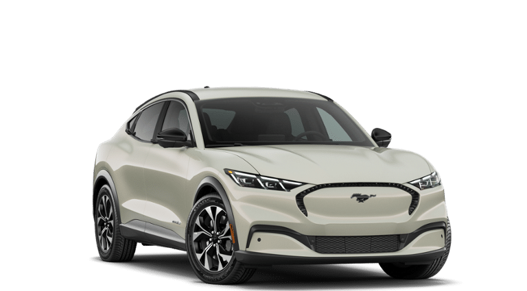 Mustang Mach-E® vehicle